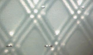 Сегмент шланга с пузырьками расположенными вблизи внутренней поверхности